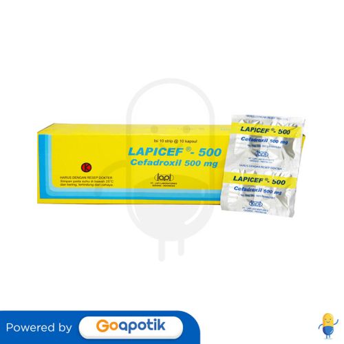 LAPICEF 500 MG BOX 100 KAPSUL