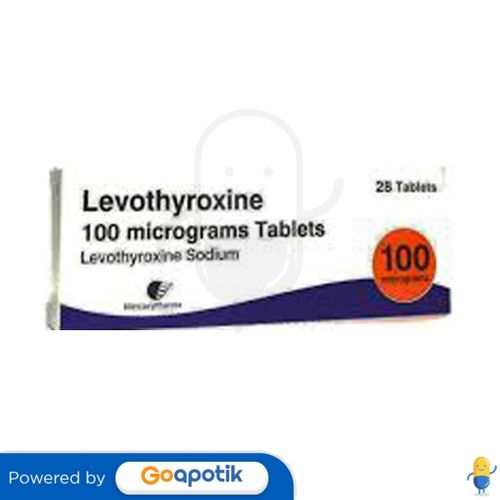 LEVOTHYROXINE SODIUM 100 MCG BOX 100 TABLET