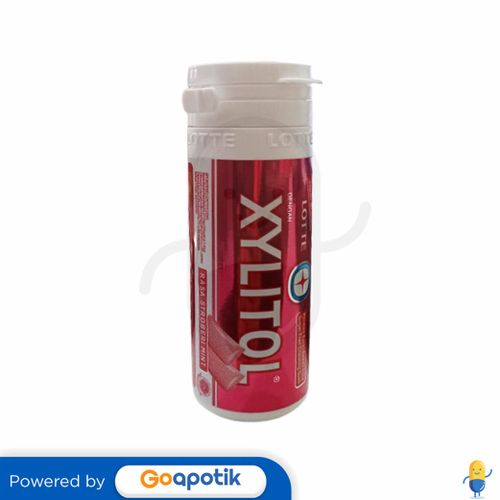 LOTTE XYLITOL RASA STRAWBERRY MINT BOTOL 19 PCS