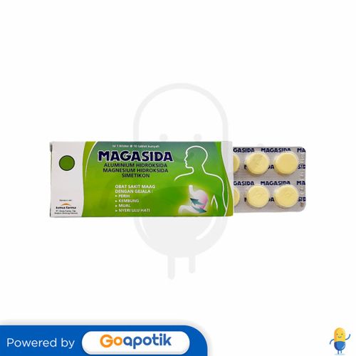 MAGASIDA BOX ISI 10 TABLET