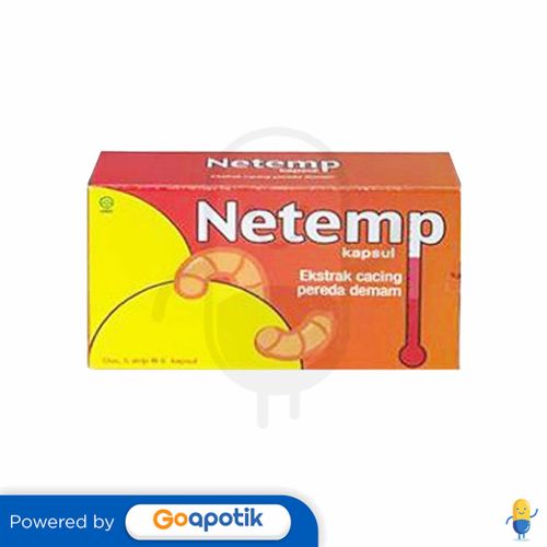 NETEMP BOX 30 KAPSUL