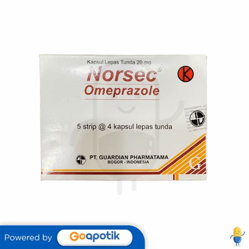 NORSEC 20 MG BOX 20 KAPSUL