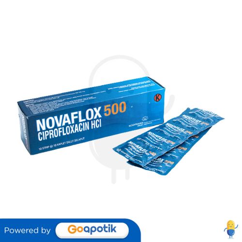 NOVAFLOX 500 MG BOX 100 KAPLET