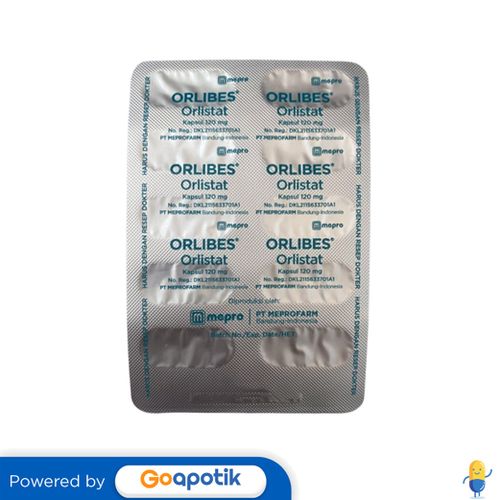 ORLIBES 120 MG KAPSUL