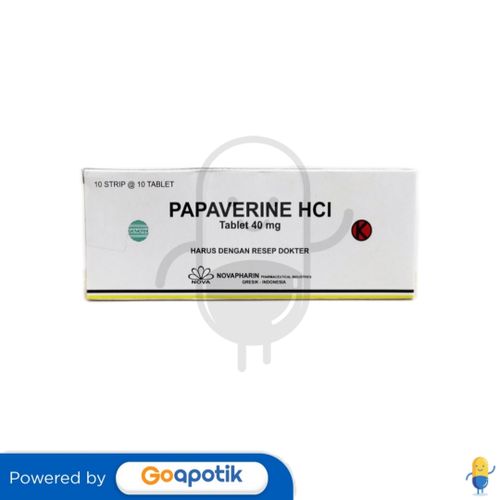 PAPAVERIN HCL NOVAPHARIN 40 MG BOX 100 TABLET