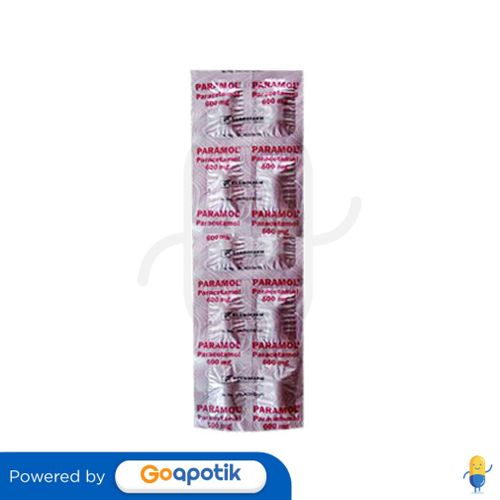 PARAMOL 600 MG KAPLET