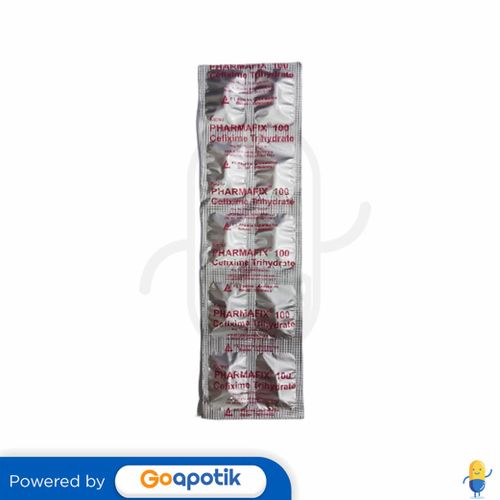 PHARMAFIX 100 MG STRIP 10 KAPSUL