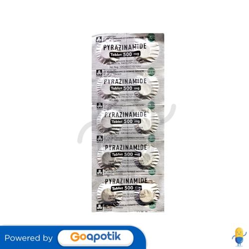 PYRAZINAMIDE PROMED 500 MG STRIP 10 TABLET