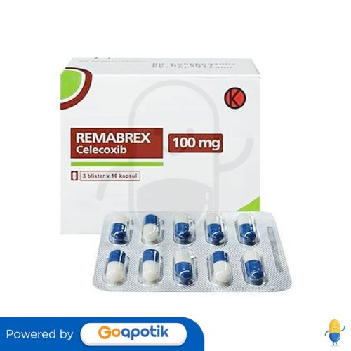 REMABREX 100 MG BOX 30 KAPSUL