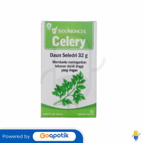 SIDO MUNCUL CELERY BOTOL 30 KAPSUL