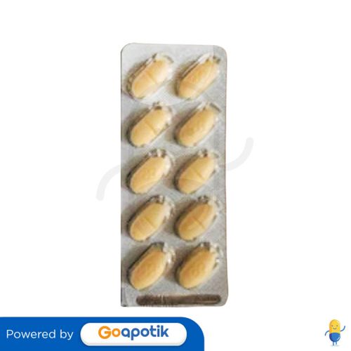 STANALIN DS 500 MG STRIP 10 TABLET