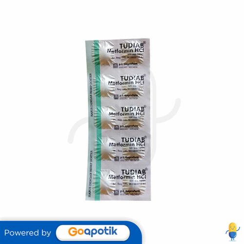 TUDIAB 500 MG STRIP 10 TABLET