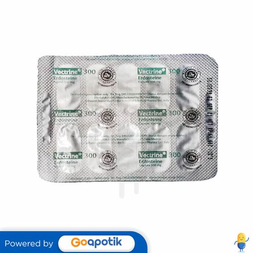 VECTRINE 300 MG STRIP 10 KAPSUL