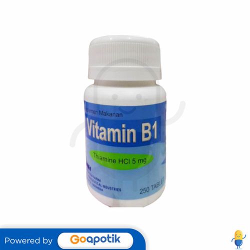 VITAMIN B1 MEGA ESA FARMA 5 MG BOTOL 250 TABLET