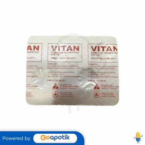 VITAN 250 MG STRIP 4 TABLET