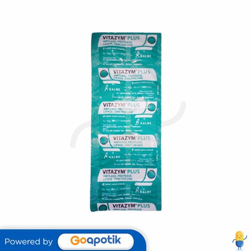 VITAZYM PLUS STRIP 10 TABLET