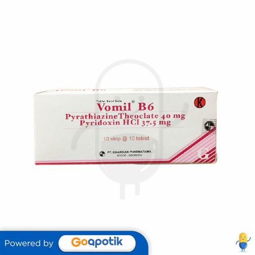 VOMIL B6 BOX ISI 100 TABLET