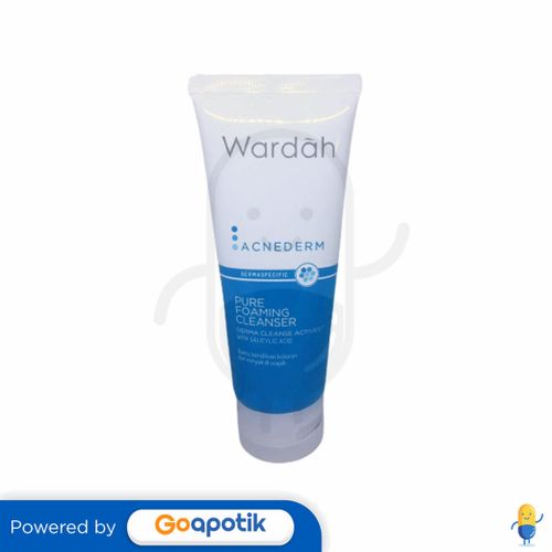 WARDAH ACNEDERM PURE FOAMING CLEANSER 60 ML TUBE