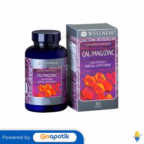 WELLNESS CAL/MAG/ZINC BOTOL 60 TABLET