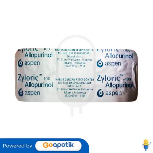 ZYLORIC 100 MG BLISTER 10 TABLET