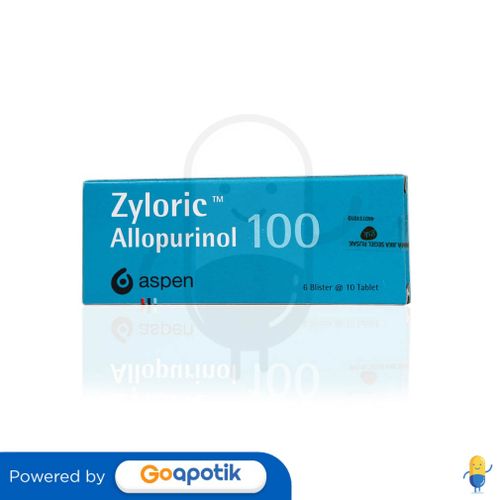 ZYLORIC 100 MG BOX 60 TABLET