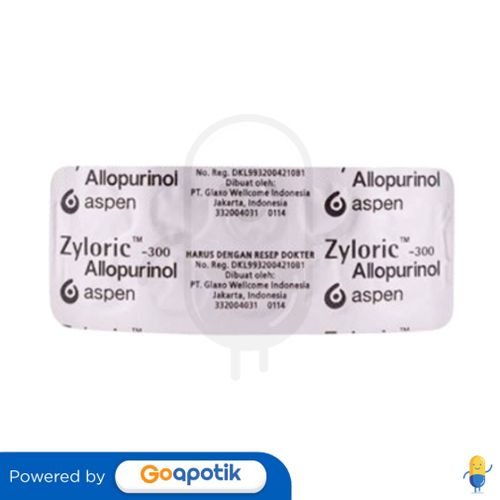 ZYLORIC 300 MG BLISTER 10 TABLET